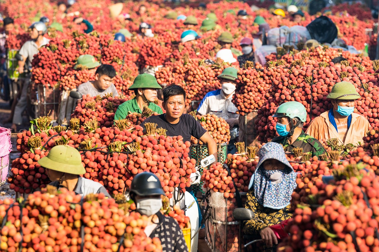 Công nghệ bảo quản mở đường giảm thất thoát và chi phí logistics cho nông sản Việt
