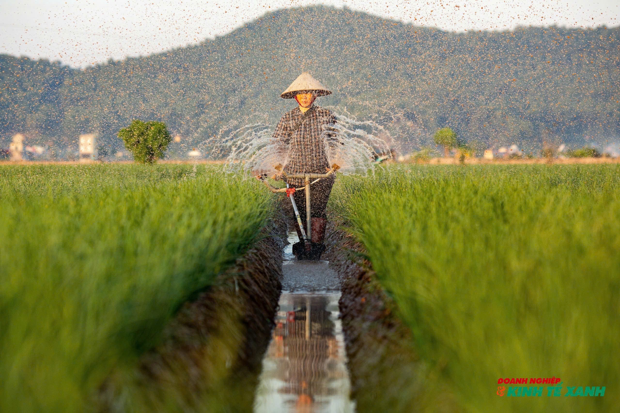 Xã Nam An Phụ (Hải Phòng): 
