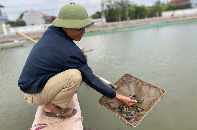 Ninh Bình: Đột phá thu nhập từ 