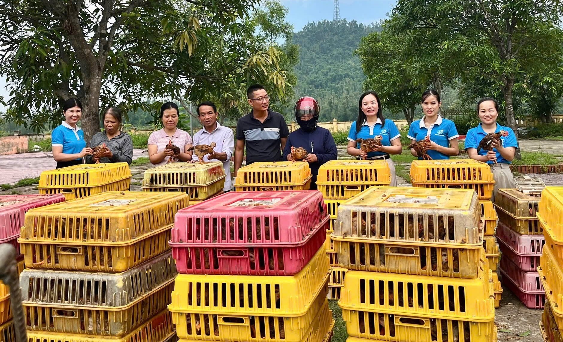 Trao sinh kế, tiếp thêm động lực để người nghèo Lộc Hà vươn lên trong cuộc sống