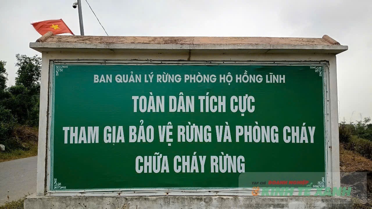 Bảo vệ rừng tại gốc – giải pháp trọng tâm phòng cháy rừng ở Hà Tĩnh năm 2026