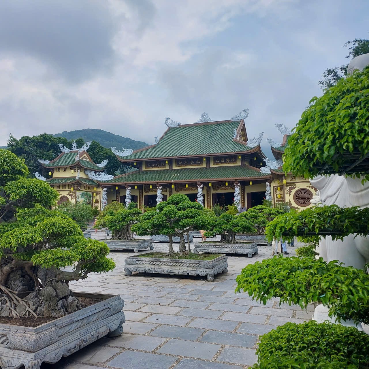 Không gian rừng quanh chùa Linh Ứng ở Đà Nẵng
