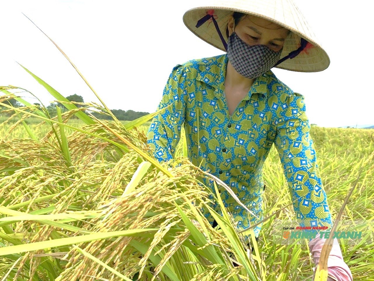 Tháo gỡ 3 điểm nghẽn để nông nghiệp Thanh Hóa phát triển xanh