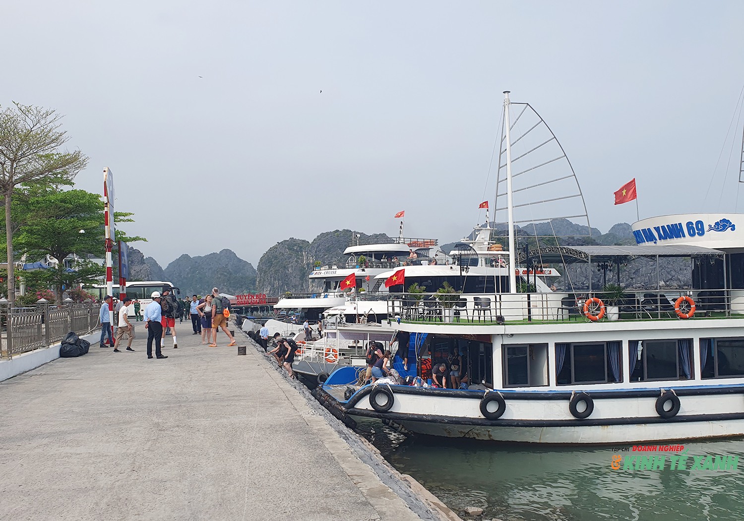 Tập trung phát triển du lịch Cát Bà xanh, bền vững