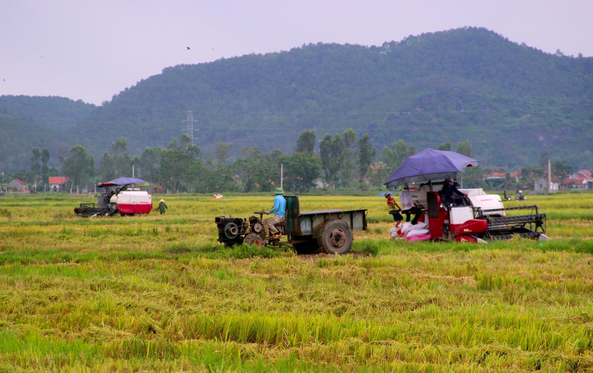 Nghệ An chủ động ứng phó thiên tai, bảo đảm sản xuất vụ hè thu - mùa 2026