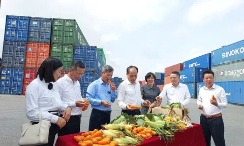 Liên kết ba bên: Mở hướng tiêu thụ bền vững cho nông sản Hải Phòng
