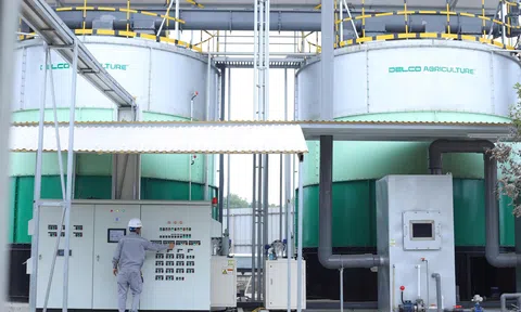 Chăn nuôi tuần hoàn ở Bắc Ninh: Khi công nghệ trở thành lời giải cho bài toán chi phí