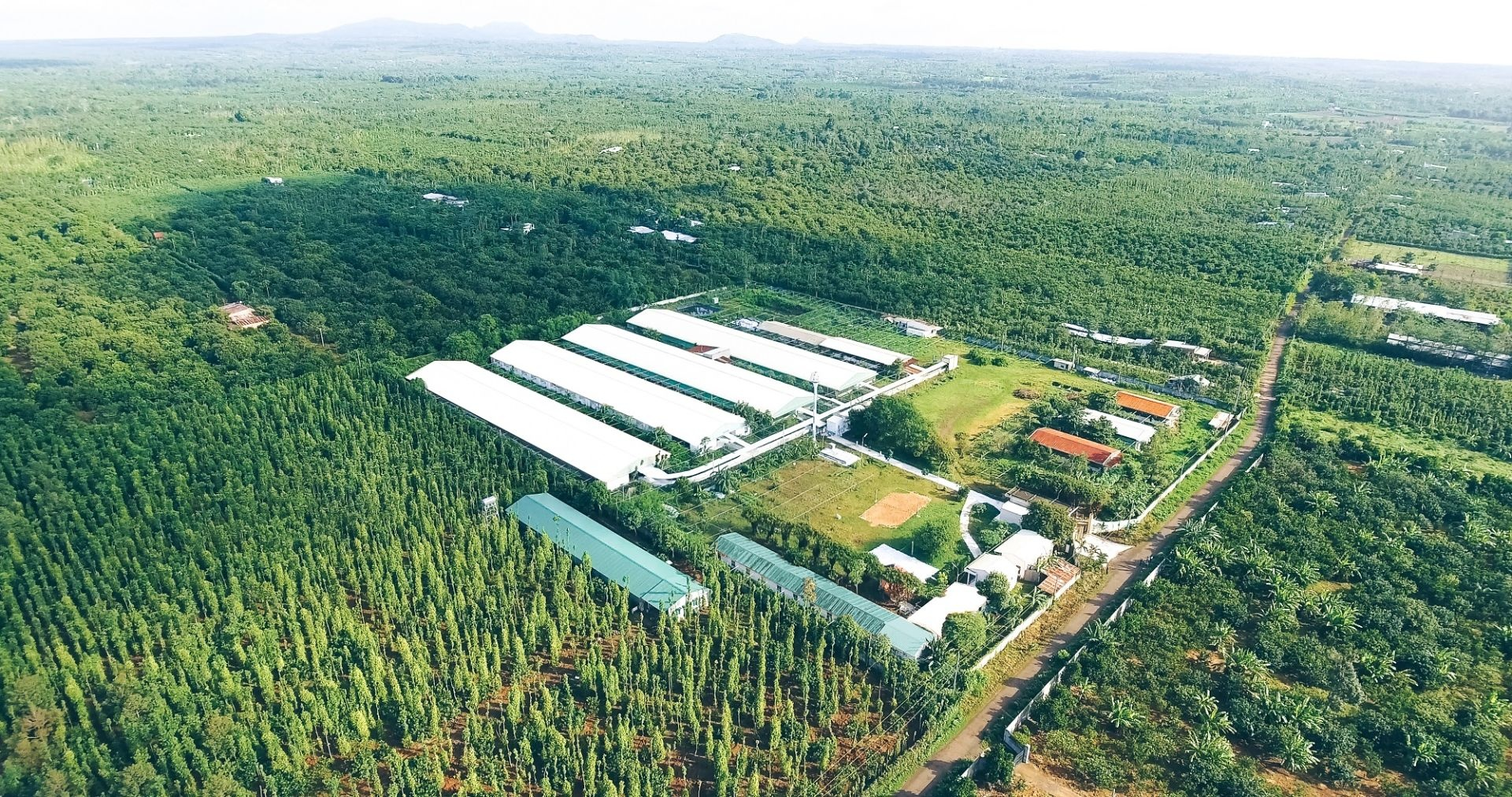 Từ kinh tế truyền thống đến kinh tế xanh hành trình chuyển đổi vì mai sau