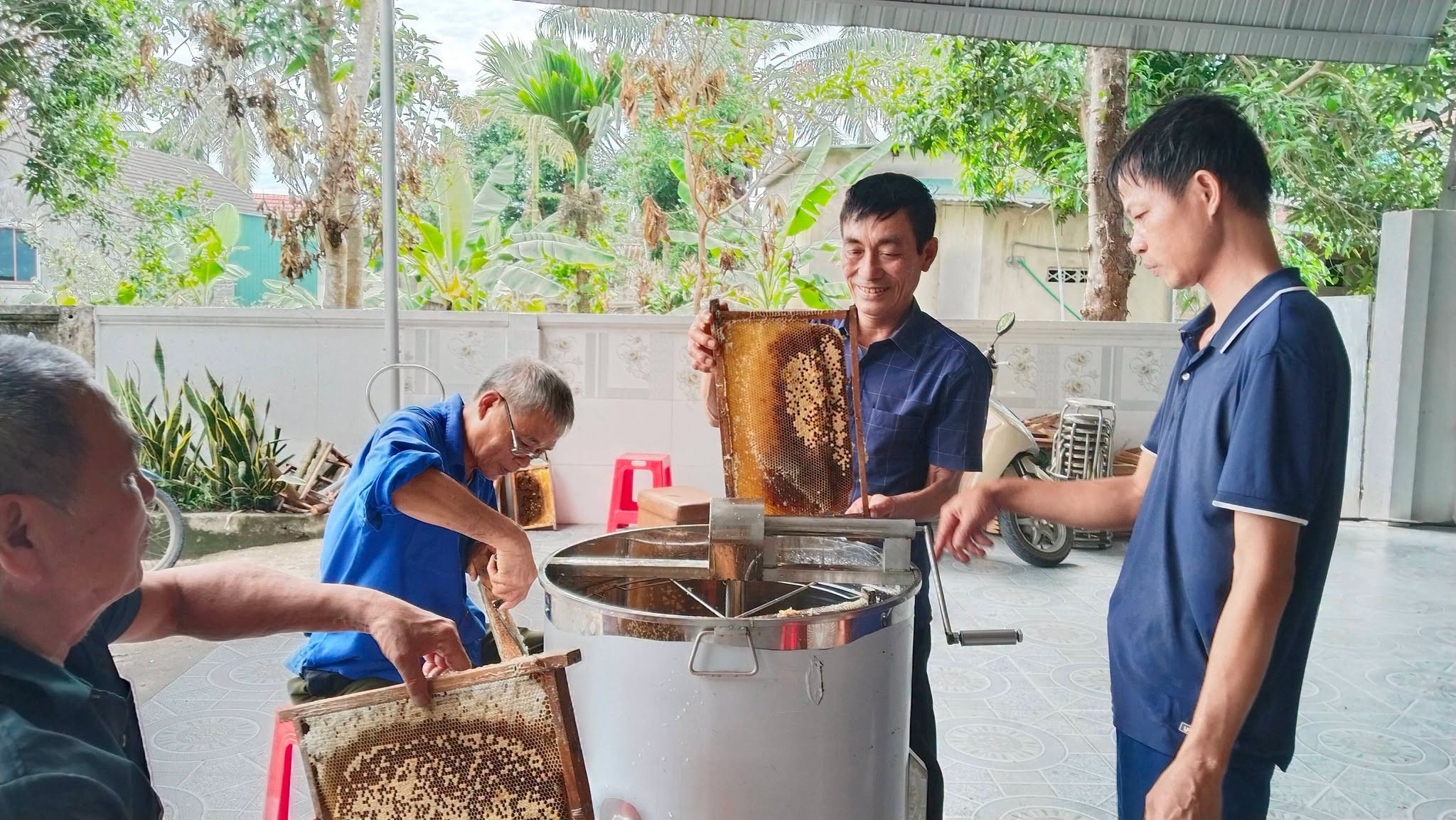 Người nông dân làm giàu từ nuôi ong lấy mật