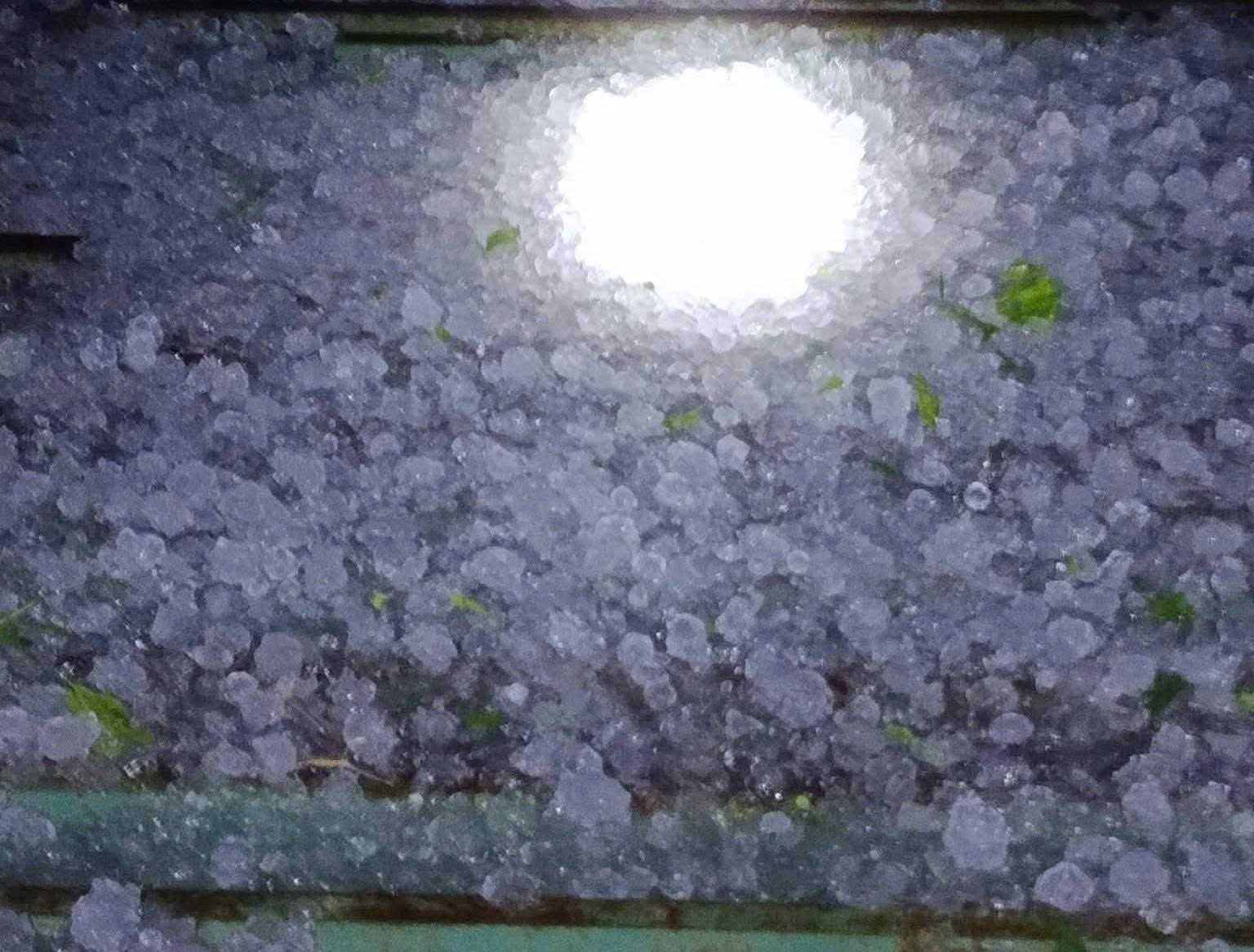 Tuyên Quang: Mưa đá trái mùa gây thiệt hại hoa màu, hàng trăm hộ dân bị ảnh hưởng