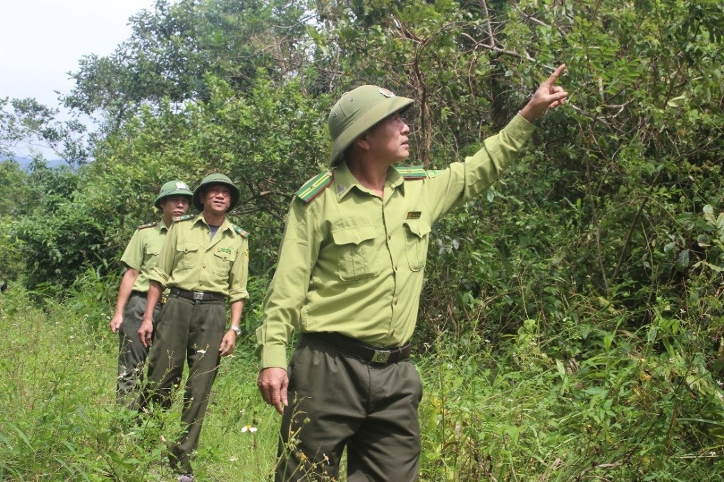 114 xã, phường ở Thanh Hóa có nguy cơ cháy rừng cao