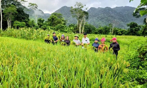 Niềm vui ở bản Đoòng