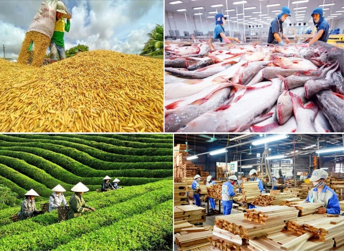 Xuất khẩu nông lâm thủy sản đạt​​​​​​​ hơn 30 tỷ USD sau 5 tháng đầu năm 2026