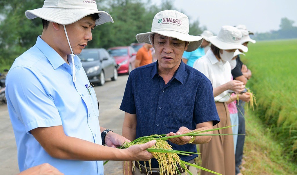 Ninh Bình – Nông nghiệp đa giá trị bứt phá
