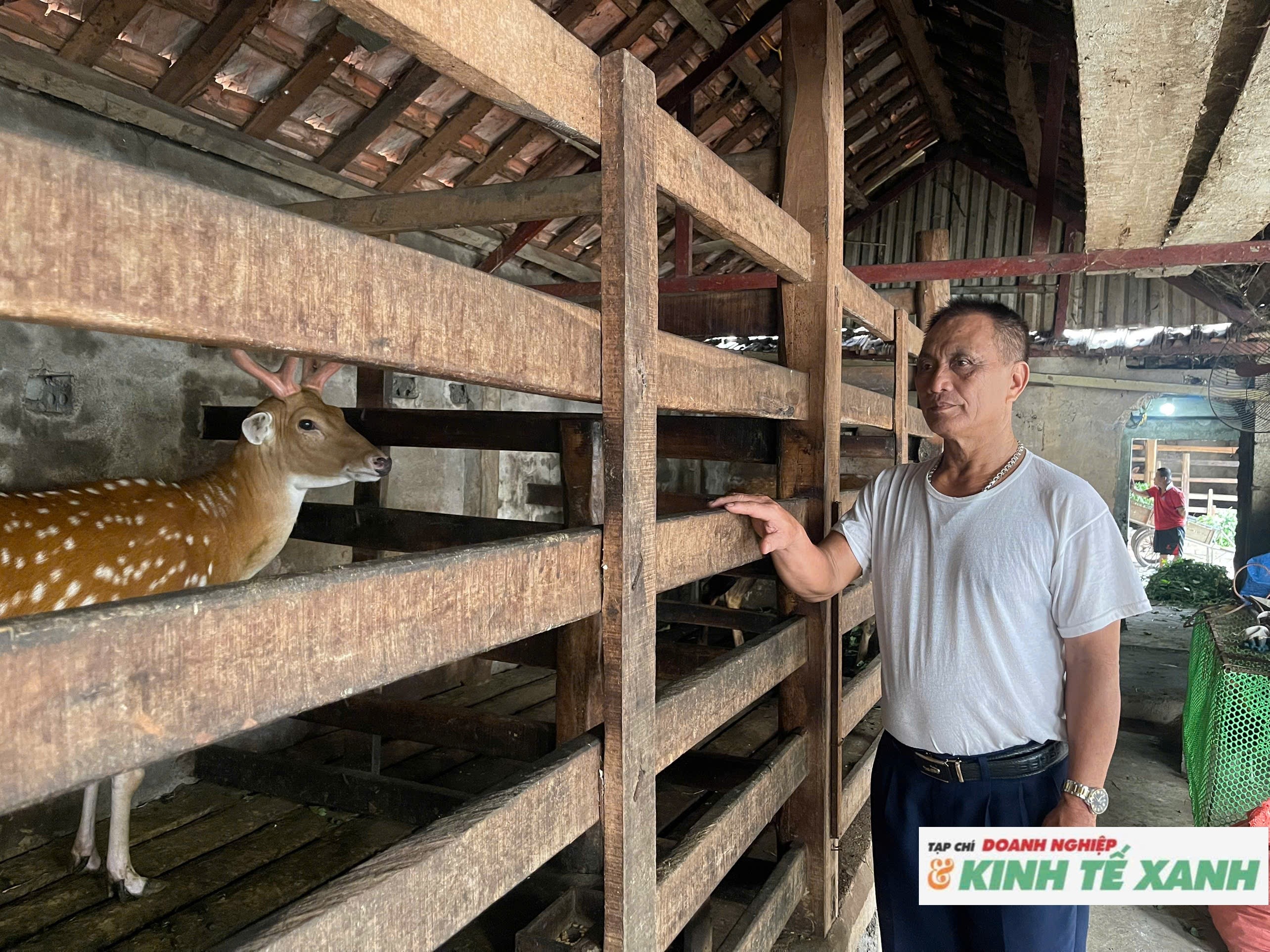 “Quả ngọt” của người nông dân sau hơn 3 thập kỷ gắn bó với nghề nuôi huơu