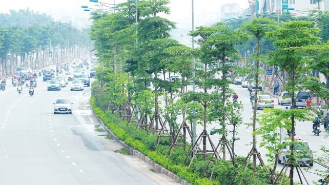  Bộ Xây dựng ban hành văn bản hợp nhất hướng dẫn quản lý cây xanh đô thị