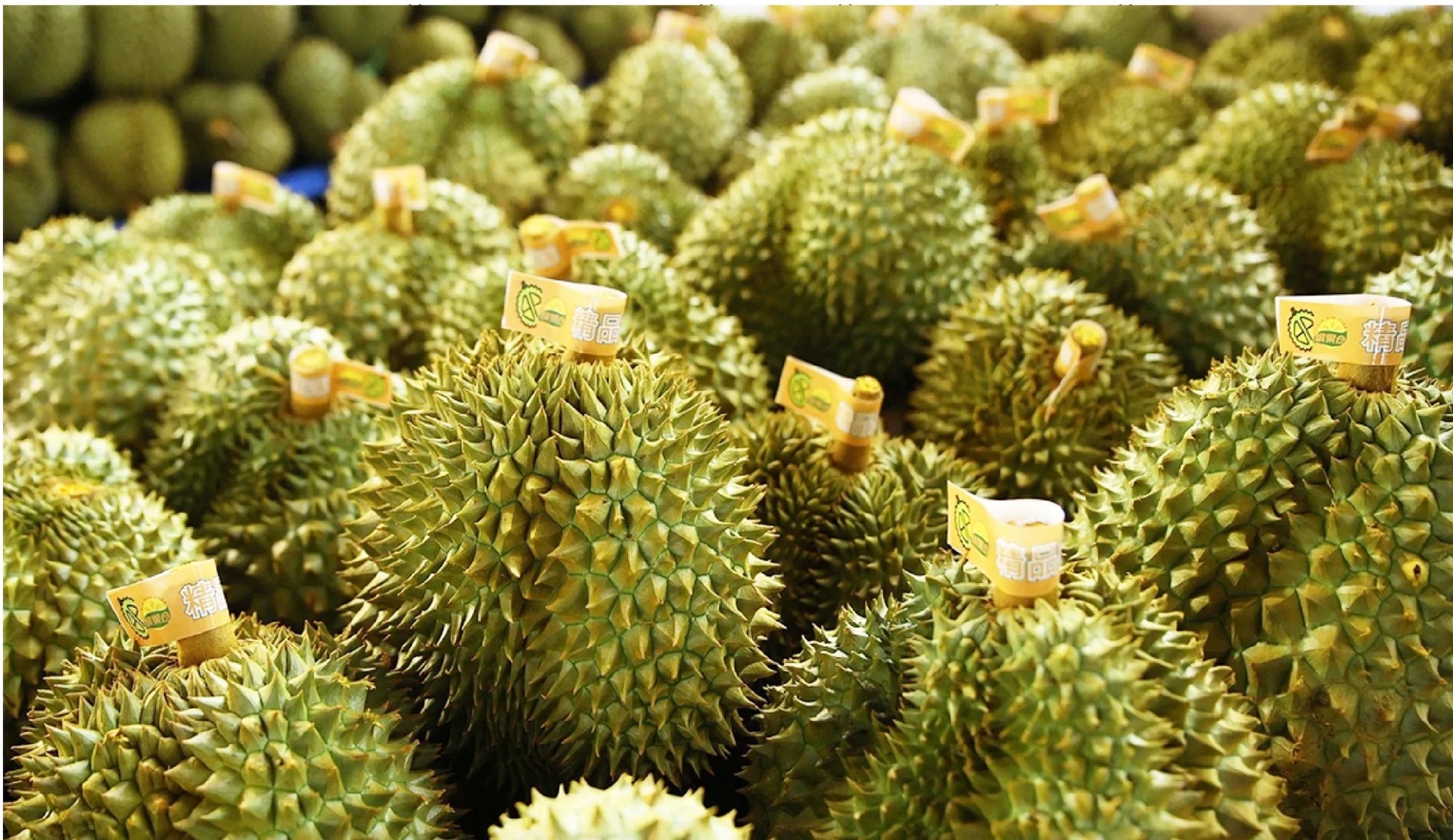 Sầu riêng Philippines hướng tới mở rộng thị phần và thị trường xuất khẩu