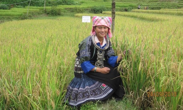 Tên người vợ trên giấy chứng nhận đất không chỉ là thủ tục