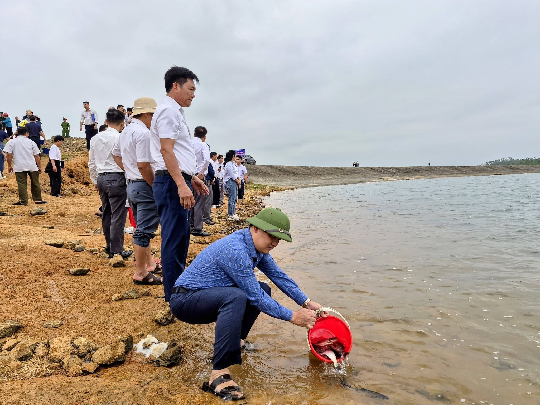 Hà Tĩnh: Thả 4 vạn cá giống tái tạo, phát triển nguồn lợi thủy sản