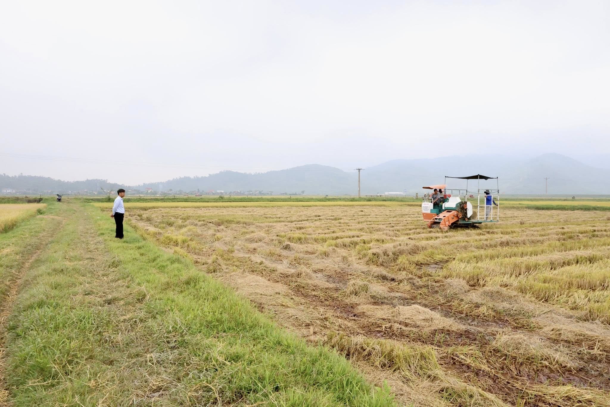 Thu gom rơm rạ sau thu hoạch góp phần bảo vệ môi trường
