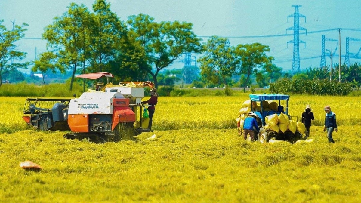 Hoàn thiện dự án sửa đổi 10 luật nhằm đơn giản hóa thủ tục nông nghiệp - môi trường