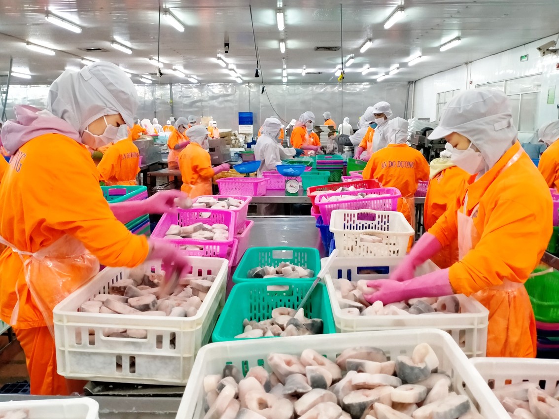 Đồng bằng sông Cửu Long tăng tốc chuyển đổi nông nghiệp trước sức ép khí hậu và thị trường