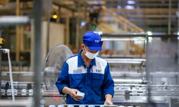 Từ đồng cỏ đến nhà máy: Tập đoàn TH giảm hàng chục nghìn tấn carbon như thế nào?